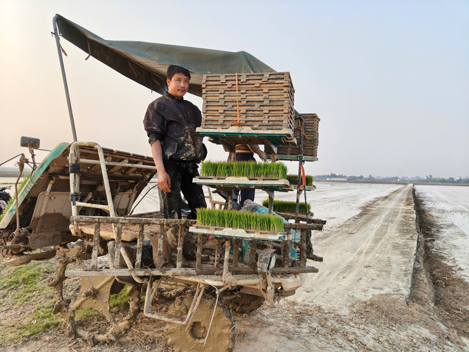 Trong số 10 huyện, thị xã, thành phố của Hải Dương, hiện mới có Bình Giang và Thanh Miện là có số lượng cơ sở sản xuất mạ khay tương đối lớn. Ảnh: Bảo Thắng.