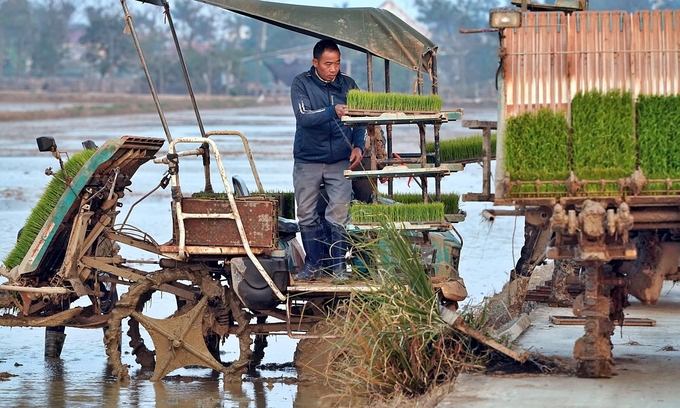 Nghe nói chương trình của Trung tâm Khuyến nông tỉnh hỗ trợ cấy mạ khay bằng máy, xong tận mắt chứng kiến sự hiệu quả của việc tăng năng suất, giảm chi phí đầu vào bằng cơ giới hóa, người dân trong xã quyết tâm để 'cái lưng' nghỉ ngơi. Ảnh: Bảo Thắng.