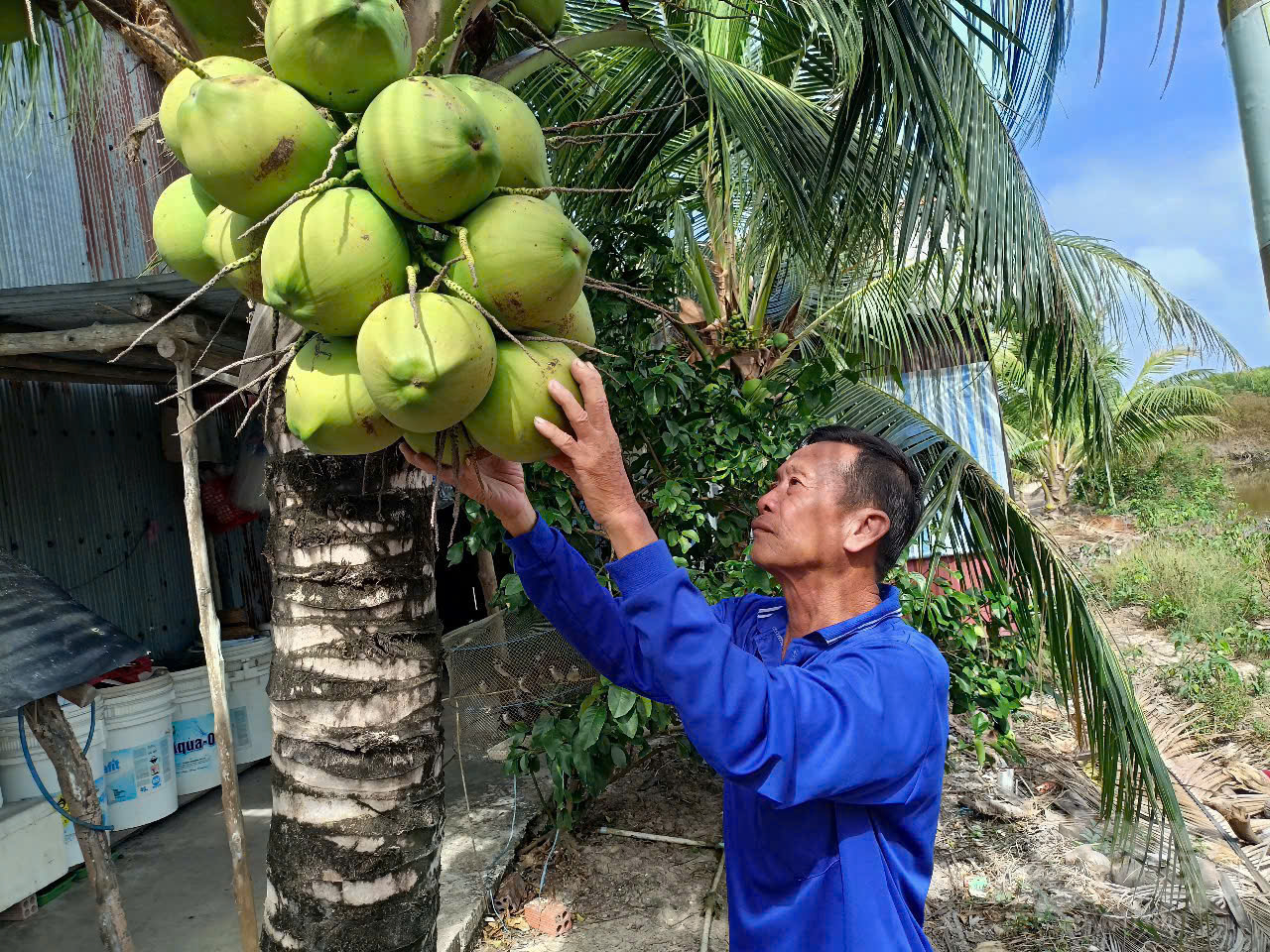 Ông Lê Hoàng Phến vui mừng khi Tân Ân đạt chuẩn xã NTM. Ảnh: Trọng Linh.