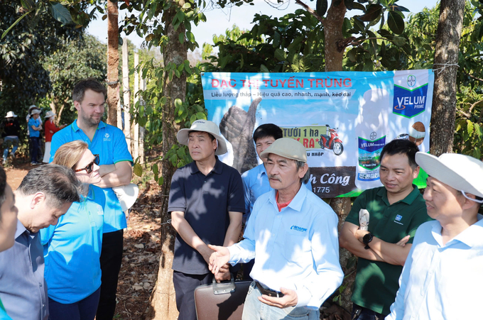 Ông Nguyễn An Sơn (giữa) chia sẻ việc ứng dụng canh tác theo các giải pháp từ Dự án Better Life Farming. Ảnh: Thanh Huyền.