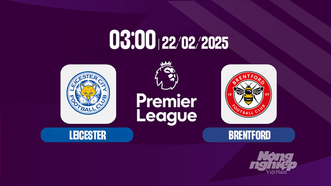 Trực tiếp bóng đá Leicester vs Brentford, Ngoại hạng Anh, 03h00 hôm nay 22/2/2025