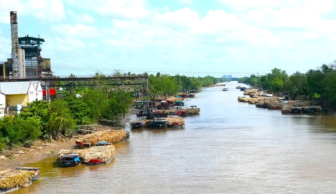 Ghe chở mía tập nập, nối đuôi nhau chờ đưa mía vào nhà máy. Ảnh: Kim Anh.