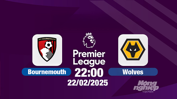 Trực tiếp bóng đá Bournemouth vs Wolves 22h00 hôm nay 15/2/2025