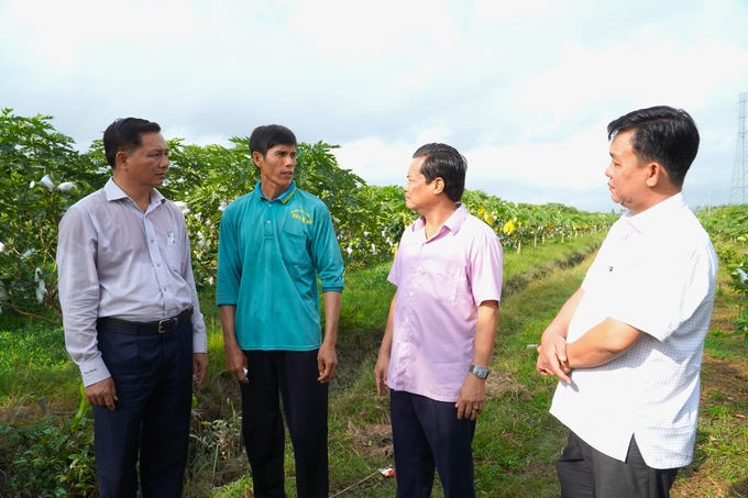 Ông Trần Văn Lâu - Chủ tịch UBND tỉnh Sóc Trăng (bìa trái) kiểm tra tình hình sản xuất nông nghiệp trong mùa hạn mặn. Ảnh: Kim Anh.