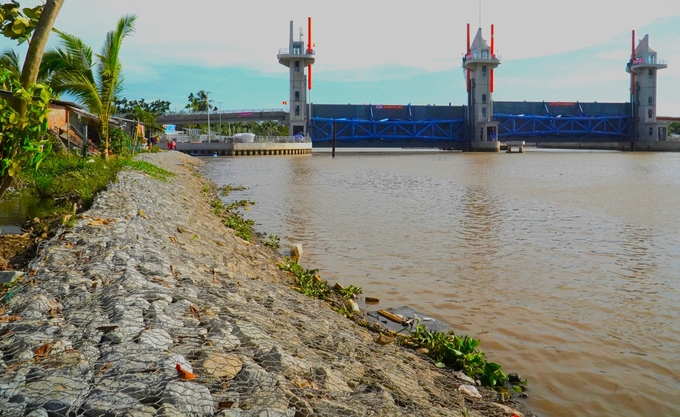 Bờ sông Rạch Mọp (khu vực xung quanh cống âu Rạch Mọp) được gia cố để bảo vệ bờ sông, đảm bảo an toàn cho người dân và công trình. Ảnh: Kim Anh.