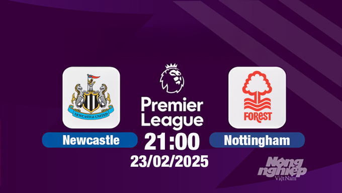 Trực tiếp bóng đá Newcastle vs Nottingham 21h00 hôm nay 23/2/2025