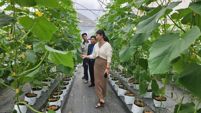 The process of digital transformation in agricultural production in Vietnam still faces many difficulties. Photo: Dinh Muoi.