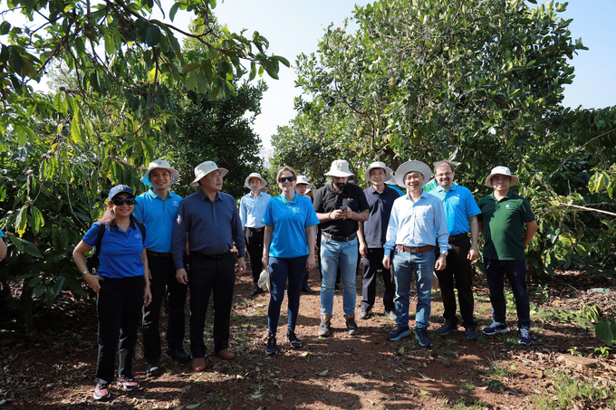 The delegation visited Mr. Nguyen An Son's coffee garden in village 6, Ea Kpam commune, Cu M'gar district, Dak Lak. Photo: Thanh Huyen.