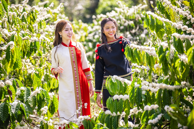 Miss H'Hen Nie and Miss Vietnam Tourism Ambassador Dinh Thi Hoa are Media Ambassadors for Buon Ma Thuot Coffee Festival.