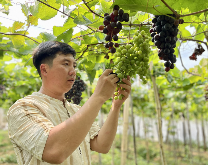 The Prime Minister requested that agricultural production forms in rural areas be reorganized and innovated. Photo: Dang Lam.