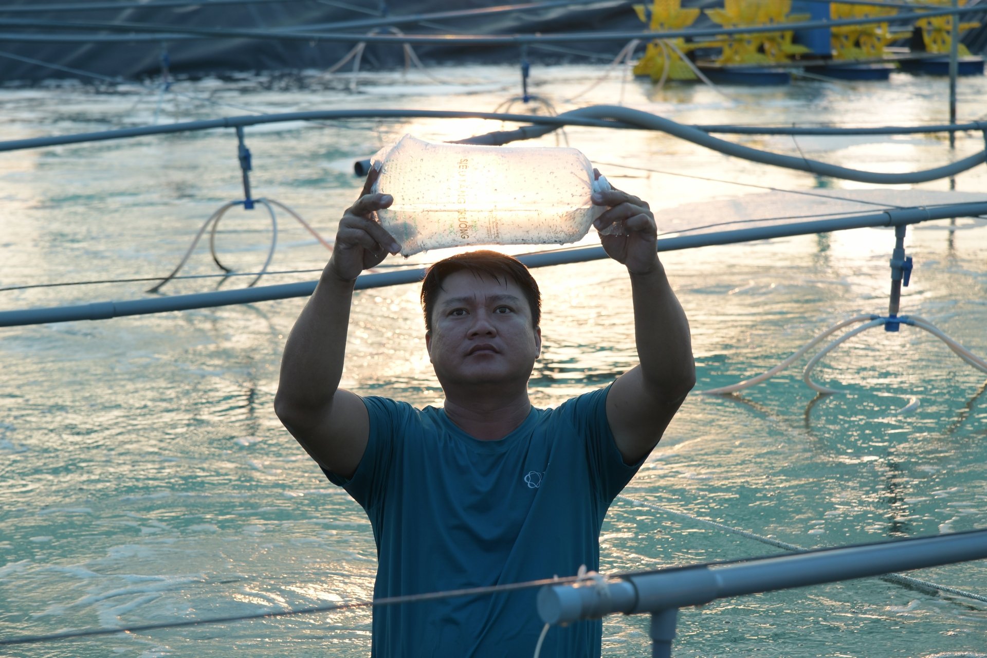 The quality of shrimp seedlings is a key factor determining the success of each farming season. Photo: Hong Tham.