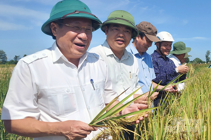 Ông Hồ Xuân Hòe (thứ 2 từ trái sang) trong một lần đi thăm lúa cùng lãnh đạo tỉnh Quảng Trị. Ảnh: Võ Dũng.