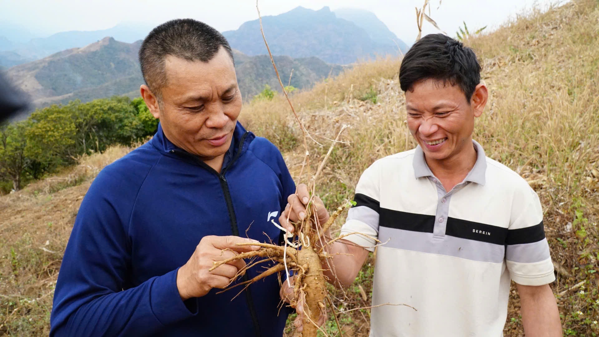 Niềm vui của anh Dương (trái) và nông dân sau khi thấy củ sâm phát triển tốt. Ảnh Đức Bình.