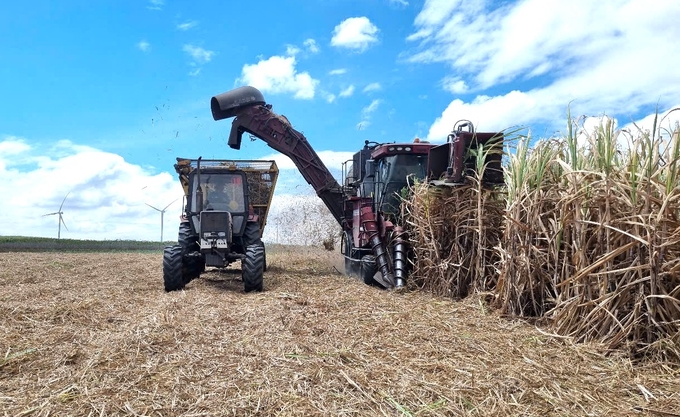 Cơ giới hóa đồng bộ được áp dụng trong canh tác mía ở vùng nguyên liệu Đông Trường Sơn. Ảnh: Tuấn Anh.