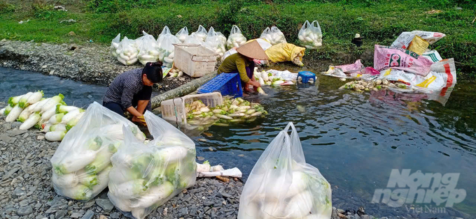 Sơ chế củ cải bên suối nước trong lành chảy qua địa bàn xã Quyết Chiến. Ảnh: Hải Tiến.