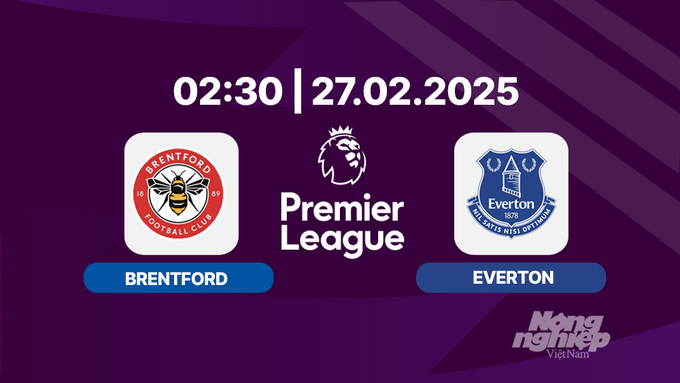 Trực tiếp bóng đá Brentford vs Everton, Ngoại hạng Anh, 02h30 hôm nay 27/2/2025