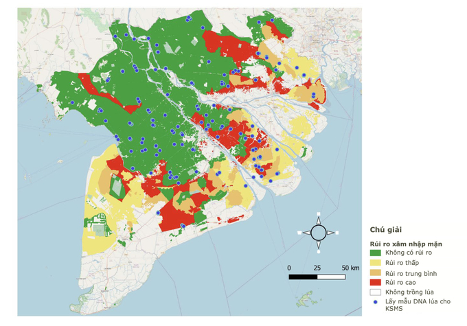 The Climate-Smart Mapping and Adaptation Planning (CS-MAP) provides managers with crucial insights to optimize cropping schedules. Photo: CGIAR-SPIA. 