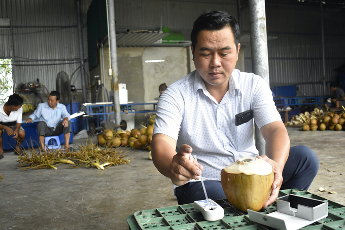 Mr. Nguyen Trung Quy, Director of Hung Thinh Phat Clean Agriculture Cooperative, checks the brix level of coconuts. Photo: Minh Dam. 