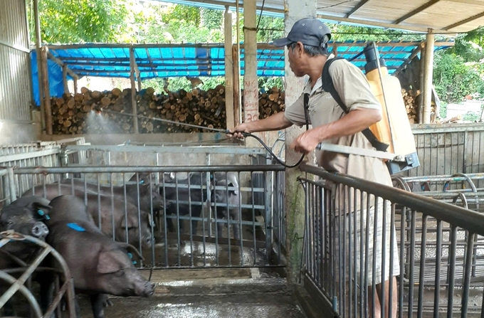 Từ sau Tết đến nay ngành chức năng huyện Hoài Ân (Bình Định) đã triển khai 3 đợt tiêu độc sát trùng chuồng trại, khu vực chăn nuôi để phòng chống dịch bệnh. Ảnh: V.Đ.T.