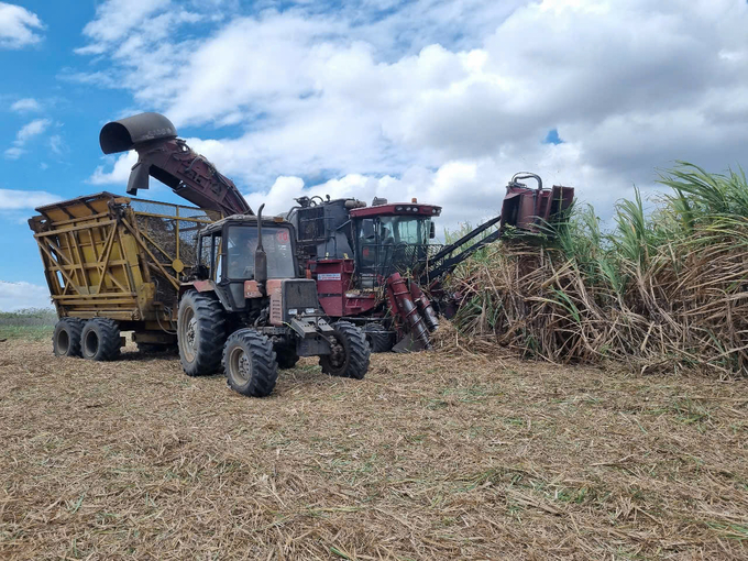 Cơ giới hóa được áp dụng đồng bộ trên cánh đồng mía vùng Đông Trường Sơn. Ảnh: Tuấn Anh.