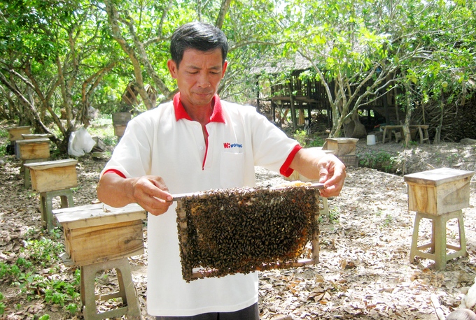 Nông dân An Giang nuôi ong dưới tán Rừng tràm Trà Sư theo hướng VietGAHP. Ảnh: Lê Hoàng Vũ.