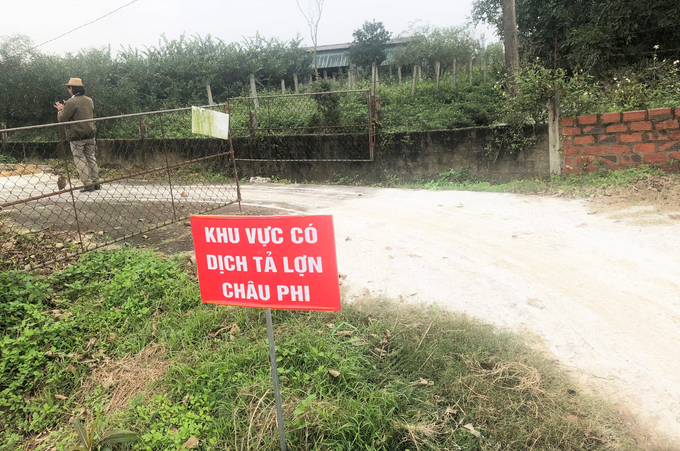 When African swine fever is getting complicated. Photo: Tam Phung.