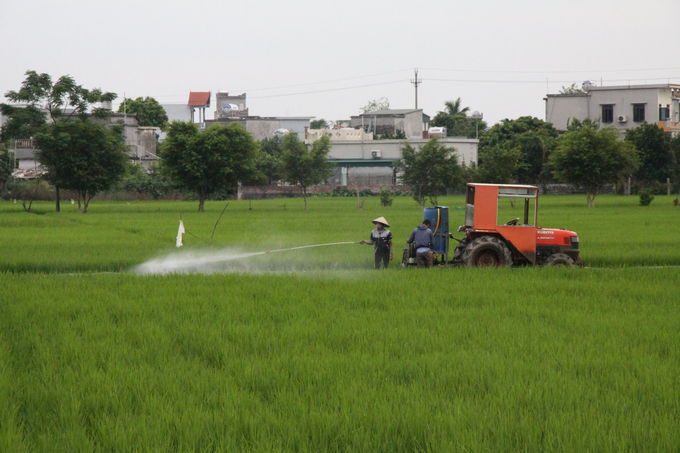 Nông dân Thái Bình phun thuốc trừ sâu bệnh cho lúa. Ảnh: Kiên Trung.