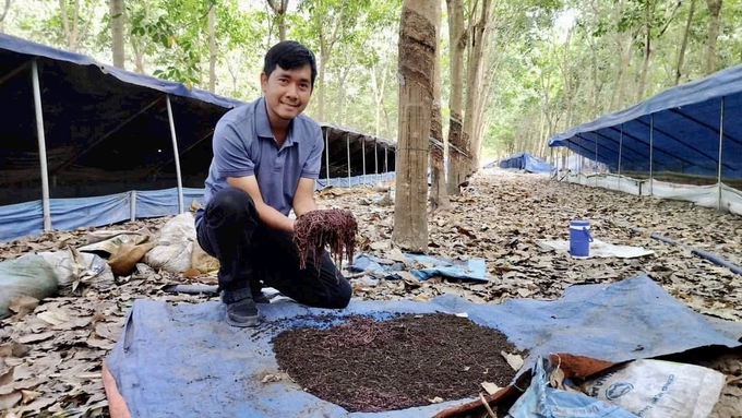 Trại nuôi trùn quế quy mô 1ha có cổ phần của anh Vương ở huyện Củ Chi (TP.HCM).