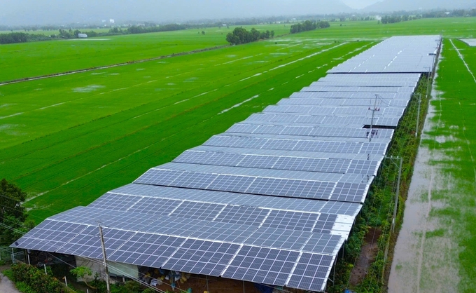 An overview of the agricultural solar farm operated by Ta Danh Cooperative in Tri Ton District, An Giang Province. Photo: Kim Anh.