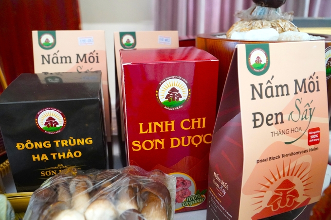 The medicinal mushroom products from Ta Danh Cooperative are now available in various wholesale markets, supermarkets, restaurants, and hotels both within and beyond An Giang Province. Photo: Kim Anh.