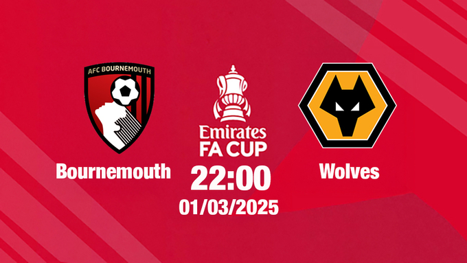 Trực tiếp bóng đá Bournemouth vs Wolves, FA Cúp, 22h hôm nay 1/3/2025