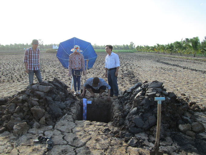 Soil profile for soil quality testing. Photo: Institute of Soil and Fertilizer.