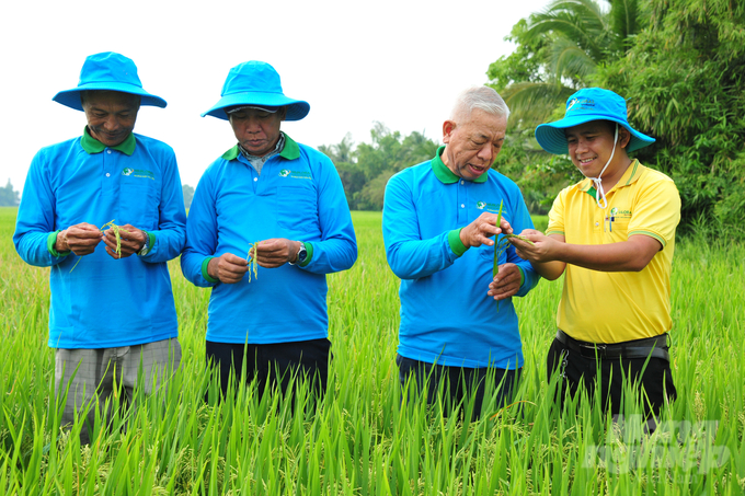 Công ty TNHH Nông Dược Toàn Cầu tự hào giới thiệu sản phẩm Vô Gạo Toàn Cầu là một giải pháp tiên tiến được thiết kế đặc biệt để đáp ứng nhu cầu canh tác lúa hiện đại nhằm góp phần vào thực hiện Đề án canh tác 1 triệu ha lúa chất lượng cao, giảm phát thải tại ĐBSCL. Ảnh: Gia Phú.