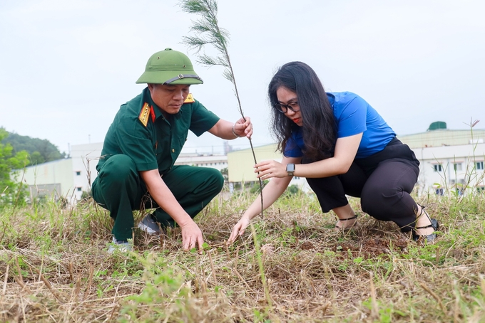 Khoảng 3.000 cây Phi lao đã được các CBCNV tham gia trồng tại đường dẫn lên Đài Quan sát NMLD Dung Quất (Đồi Cây Sấu).