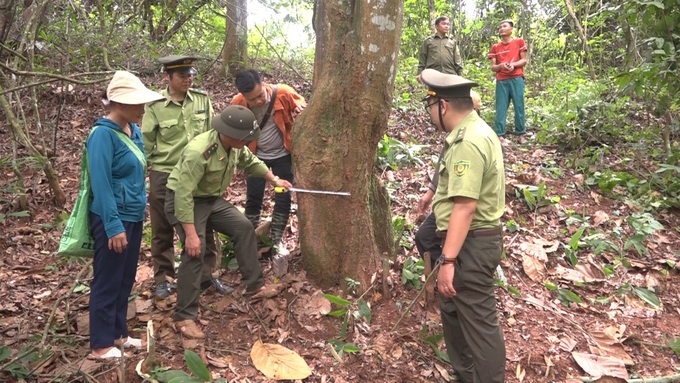 Lực lượng kiểm lâm tuần tra khắp các khu vực, tuyên truyền người dân về ý thức bảo vệ rừng. Ảnh: Đức Bình.