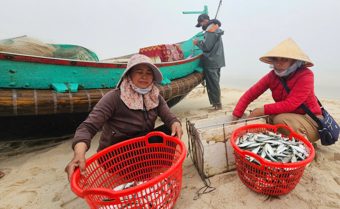 Mỗi chuyển biển ngư dân có thu nhập từ 500 ngàn đồng trở lên. Ảnh: T. Đức.