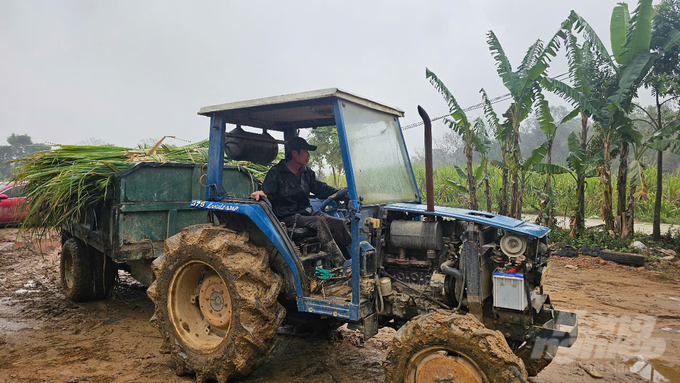 Ông Lê Xuân Thân sở hữu hơn 20ha mía tại xã Thọ Hải, huyện Thọ Xuân. Ảnh: Quốc Toản.