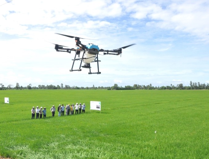 Production models under the 1 million ha of high-quality, low-emission rice project in Kien Giang are bringing significant efficiency. Photo: Trung Chanh.