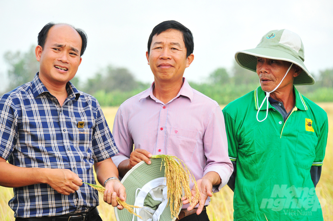 Mô hình trồng lúa giảm phát thải tại ĐBSCL, hướng đến thành công mở rộng xây dựng vùng nguyên liệu lúa gạo chất lượng cao, phục vụ xuất khẩu. Ảnh: Lê Hoàng Vũ.