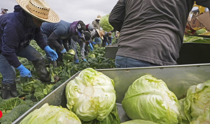 Farmers across the U.S. can expect the new tariffs on Mexico, Canada and China and the retaliatory action from those countries to hurt their bottom lines by billions of dollars if they stay in place, while consumers could quickly see higher prices for agricultural products and ground beef.