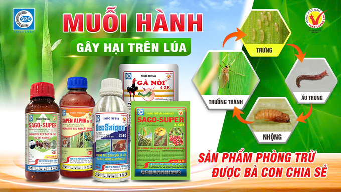 Các sản phẩm phòng trị hiệu quả muỗi hành (sâu năn) của Công ty CP BVTV Sài Gòn (SPC). Ảnh: Kim Ngọc.