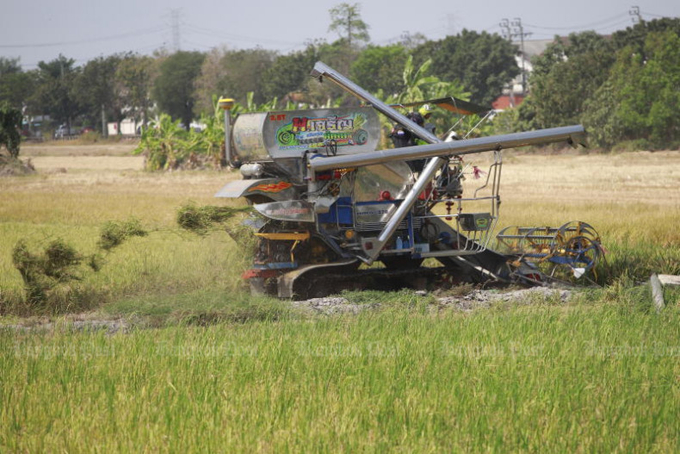 A farmer harvests rice using a combine harvester in Nonthaburi province. Many farmers have complained of a sharp drop in rice prices and called on the government to step in and help them. Photo: Pattarapong Chatpattarasill. 