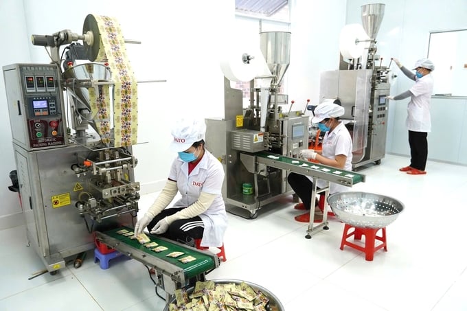 The application of high technology linked with deep processing is being strongly promoted by Kon Tum Province to attract investment. Photo: Tuan Anh.