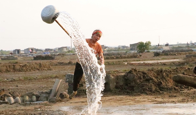 Diêm dân sản xuất muối truyền thống khó nhọc muôn phần. Ảnh: HL.