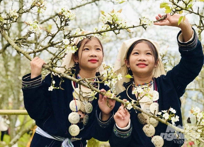 Xã Hồng Thái với bạt ngàn rừng hoa lê nở rộ là điểm du lịch hấp dẫn trong chuỗi các hoạt động tại Lễ hội Hương sắc Na Hang năm 2025. Ảnh: Đào Thanh.