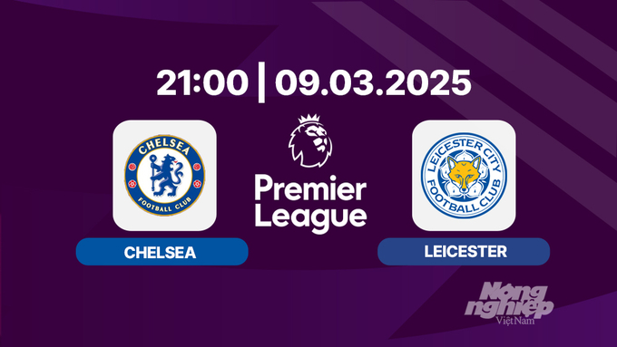 Trực tiếp bóng đá Chelsea vs Leicester 21h00 hôm nay 9/3/2025