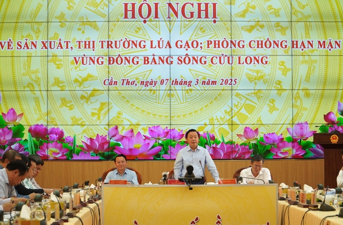 Deputy Prime Minister Tran Hong Ha chaired a conference on rice production and consumption and the drought and saltwater intrusion in the Mekong Delta in early 2025. Photo: Kim Anh.