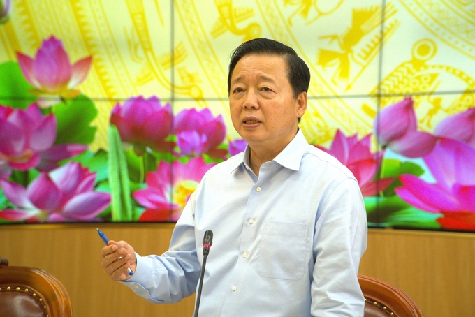 Deputy Prime Minister Tran Hong Ha directed many important contents to improve the quality and professionalism of rice exports. Photo: Kim Anh.