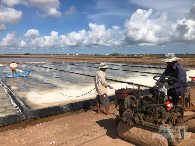 Bac Lieu salt farmers apply mechanization to salt production. Photo: Trong Linh.