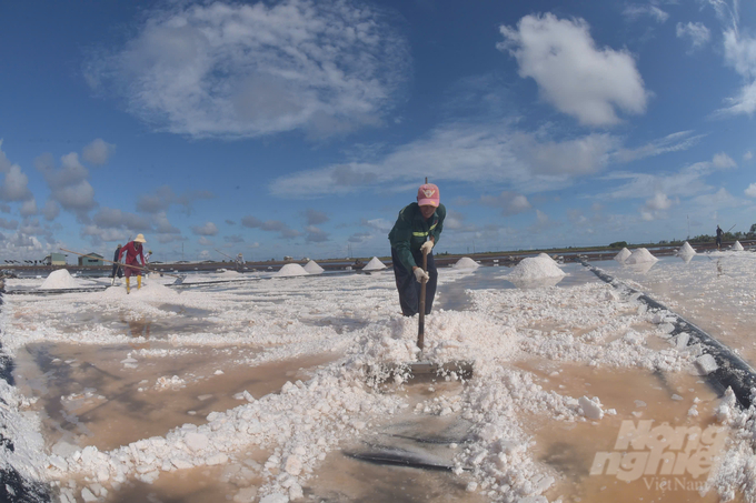 Salt farming is hard work and income is unstable. Photo: Trong Linh.